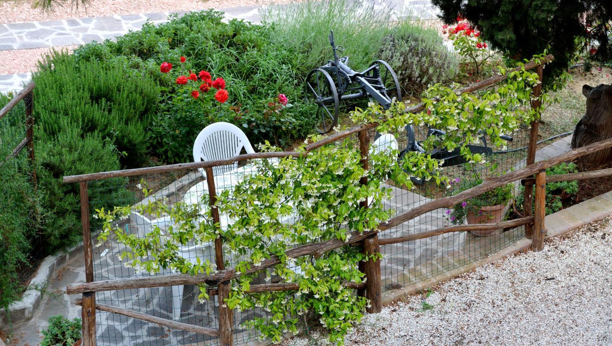 Agriturismo San Severo باسّينيانو سول تْرازي الغرفة الصورة