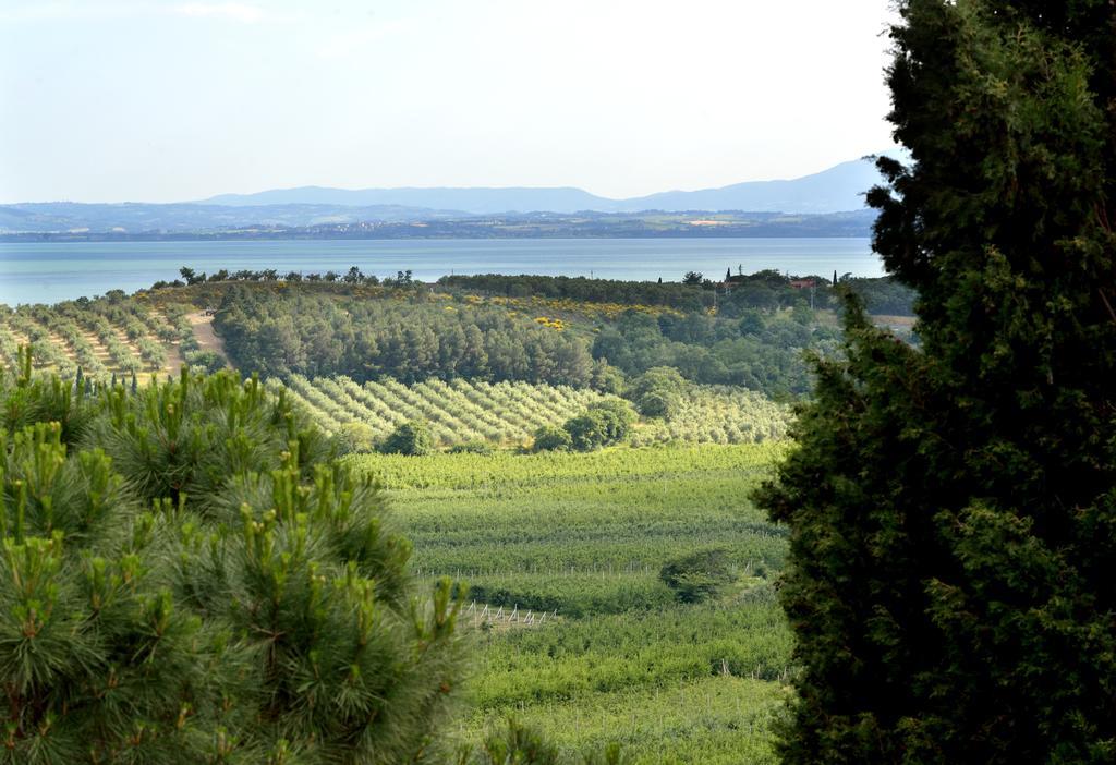 Agriturismo San Severo باسّينيانو سول تْرازي المظهر الخارجي الصورة